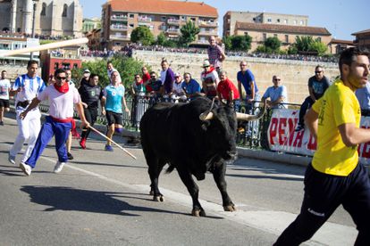 La Fiscalía desestima la petición del Gobierno de suspender el Toro de la Vega