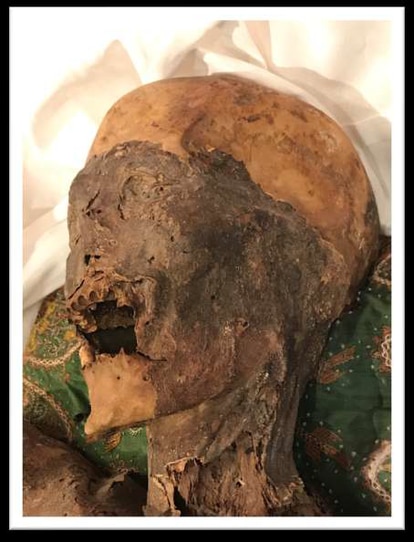 Cabeza y cuello del cuerpo momificado de san Isidro.
