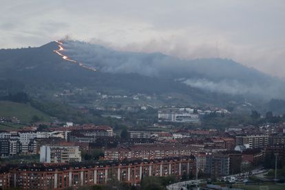 El Gobierno de Asturias, sobre los 116 incendios que afectan a la región: “Es una oleada provocada que no tiene precedentes”
