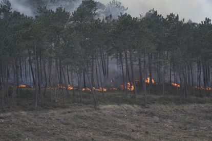 Llamas del ncendio registrado este viernes en Luarca (Asturias).