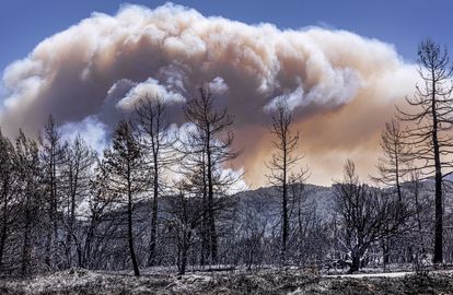 Nube sobre el incendio de Castellón, este lunes.