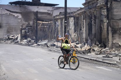 Un hombre y su perro pasean por Main Street, entre los escombros causados por el incendio forestal, este viernes 11 de agosto en Lahaina (Hawái).