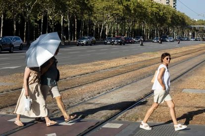 En la imagen, el césped seco de las vías del Tranvía de Diagonal a la altura del cruce con la Calle Numancia. 