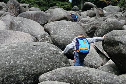 Felsenmeer (o mar de rocas), en la Selva de Oden (Alemania).