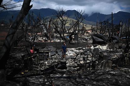 Un habitante, junto a su familia, busca pertenencias entre las cenizas de su casa quemada, este viernes en Lahaina (Hawái).