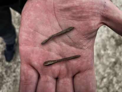 Algunas de las flechas metálicas lanzandas sobre la granja en bombas racimo y que ya Rusia ha empleado en frentes como el de la localidad de Bucha, cerca de Kiev