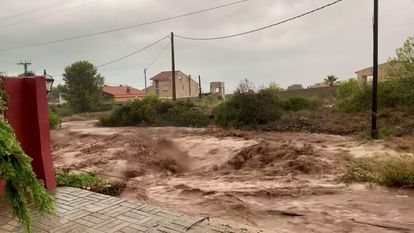 Torrentes de agua en el municipio de Alcanar (Tarragona), este domingo.