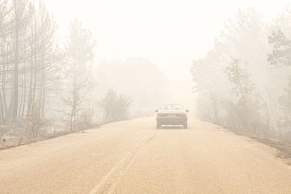 Carretera en el Parque Nacional de Dadiá completamente cubierta por ceniza y humo, este viernes 1 de septiembre de 2023.