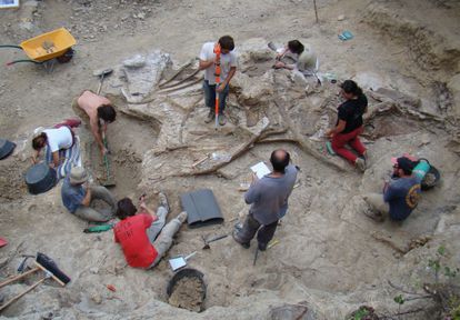 Restos óseos de Garumbatitan morellensis
