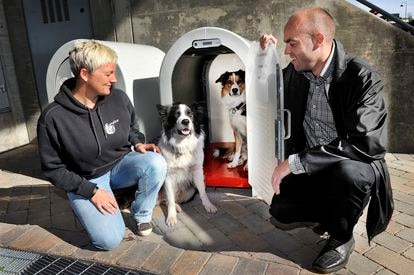 Perro App Casetas Mascota