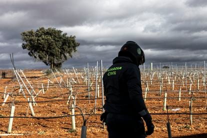 Un miembro del Seprona camina por el campo para encontrar cualquiera de los trucos que se usan para sobreexplotar el regadío.
