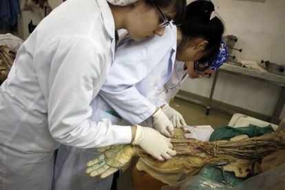 Alumnas en la sala de disección de cadáveres de la Facultad de Medicina de la Universidad Complutense de Madrid, en una imagen de 2022.