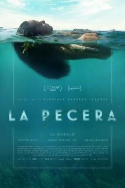 la pecera