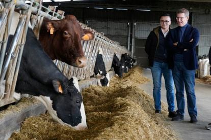El líder del PP, Alberto Núñez Feijóo, durante una visita a una explotación en Lalín (Ourense), este lunes. PP y Vox pugnan por capitalizar las protestas de los agricultores en Bruselas.