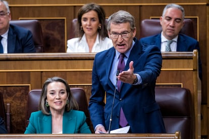 El presidente del PP, Alberto Núñez Feijóo, en la sesión de control al Gobierno en el Congreso.