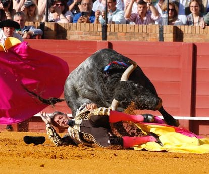 Un momento de la espectacular cogida que sufrió Escribano al recibir con el capote al primer toro.