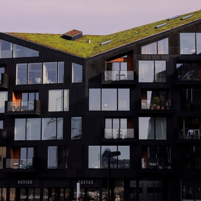 Marzo - Mayo 2024 - Reportaje sobre el incremento de espacios verdes en tejados y terrazas en Copenhague - ©Manuel Vázquez ----PIEFOTO---- Un tejado verde de nueva construcción en Copenhague.