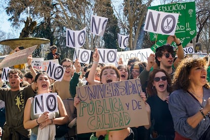 Decenas de personas, durante la manifestación por la educación pública celebrada en Madrid este domingo.