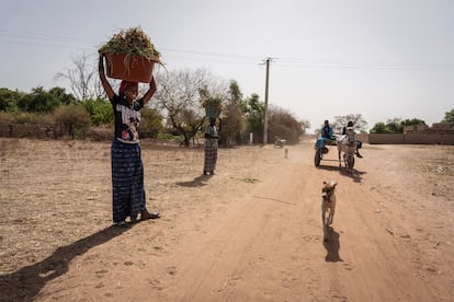 Un carro tirado por burros circula por el pueblo de Colibantang, en la región senegalesa de Tambacounda, tras ir al mercado en el pueblo de Maka.