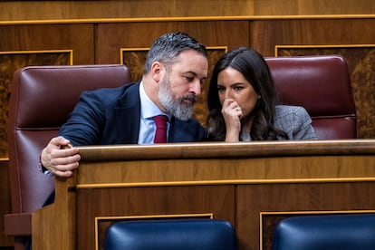 Santiago Abascal, presidente de Vox, y Pepa Millán, portavoz parlamentaria del partido, en un pleno en el Congreso en marzo.