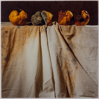 Toni Catany. Naturale morta núm.148. Museu Nacional d’Art de Catalunya