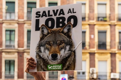 Un cartel de la manifestación de este domingo en defensa del lobo. 