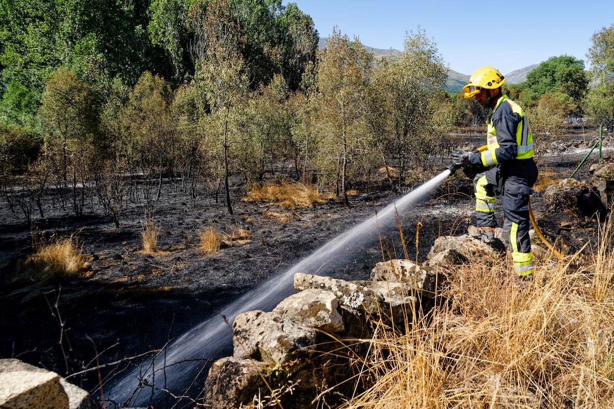 Controlados la mayoría de incendios que han arrasado miles de hectáreas este fin de semana