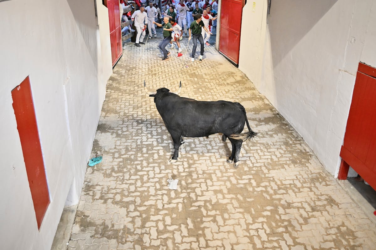 Tercer encierro de San Fermín 2025, en directo | Los toros de Álvaro Núñez debutan en el tercer encierro